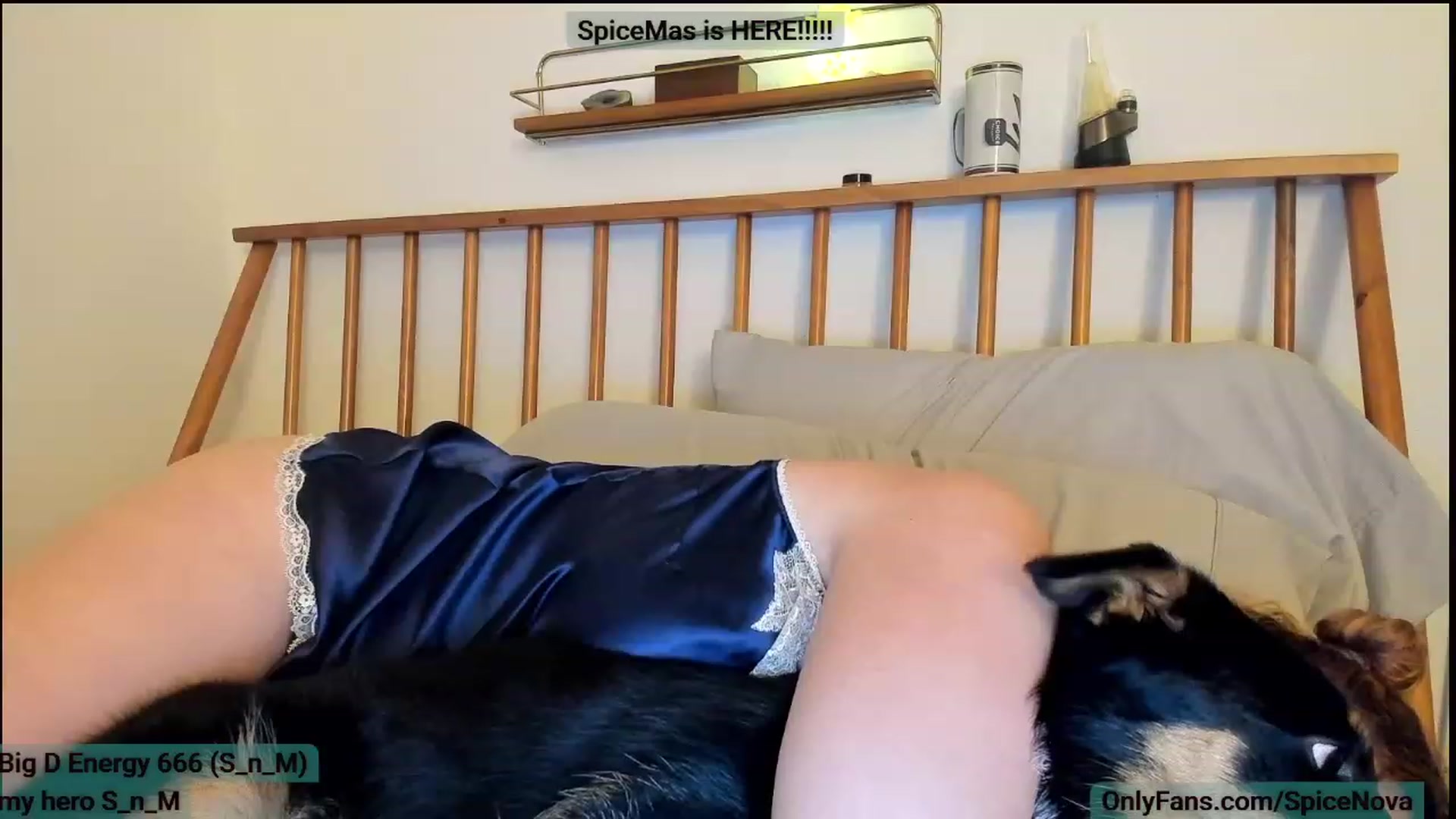 Gallery image thumbnail from SpiceNova's myfreecams stream on, 12/07/2022, 04:24 image 17 of 20