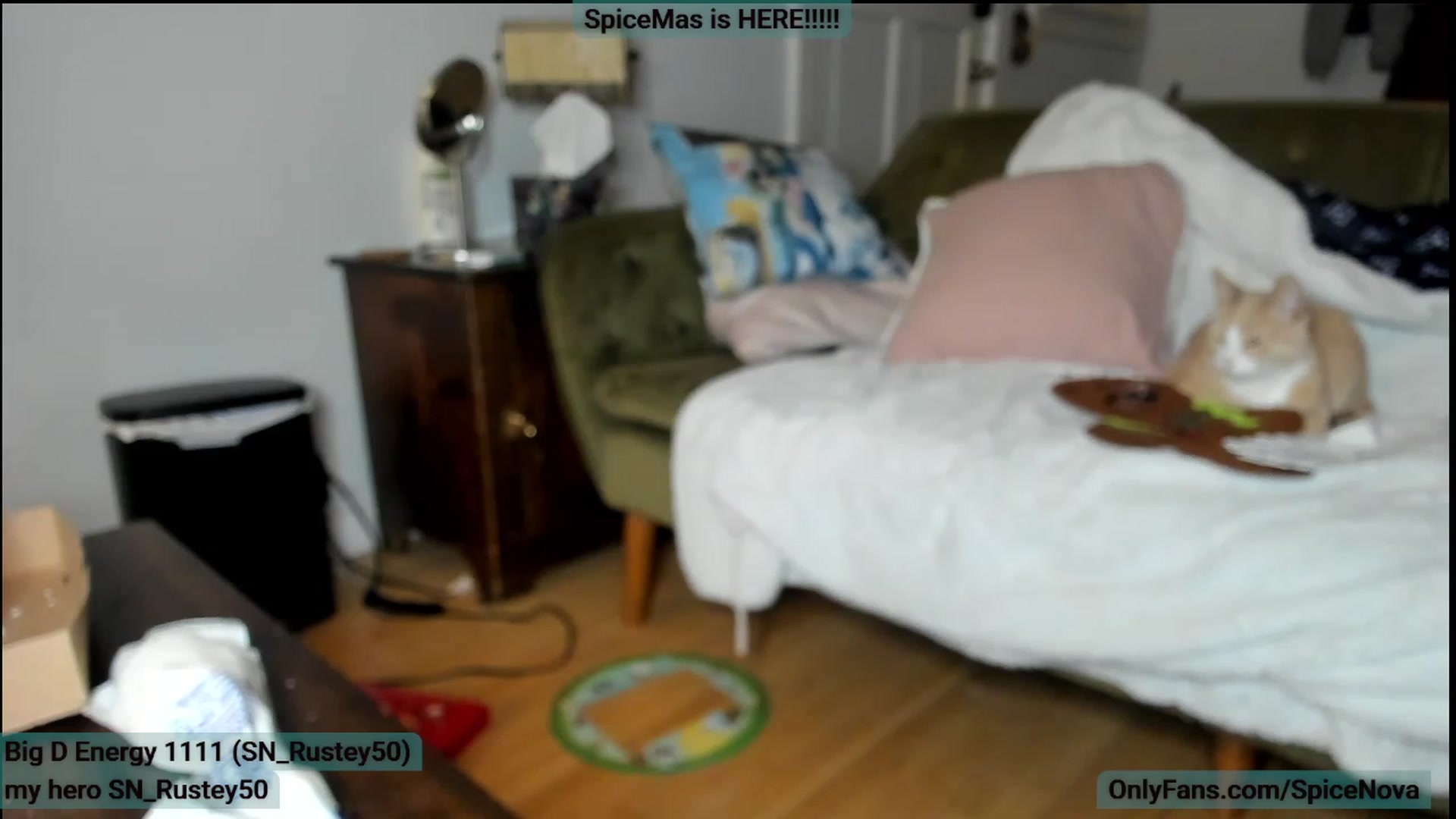 Gallery image thumbnail from SpiceNova's myfreecams stream on, 12/10/2022, 04:41 image 11 of 20