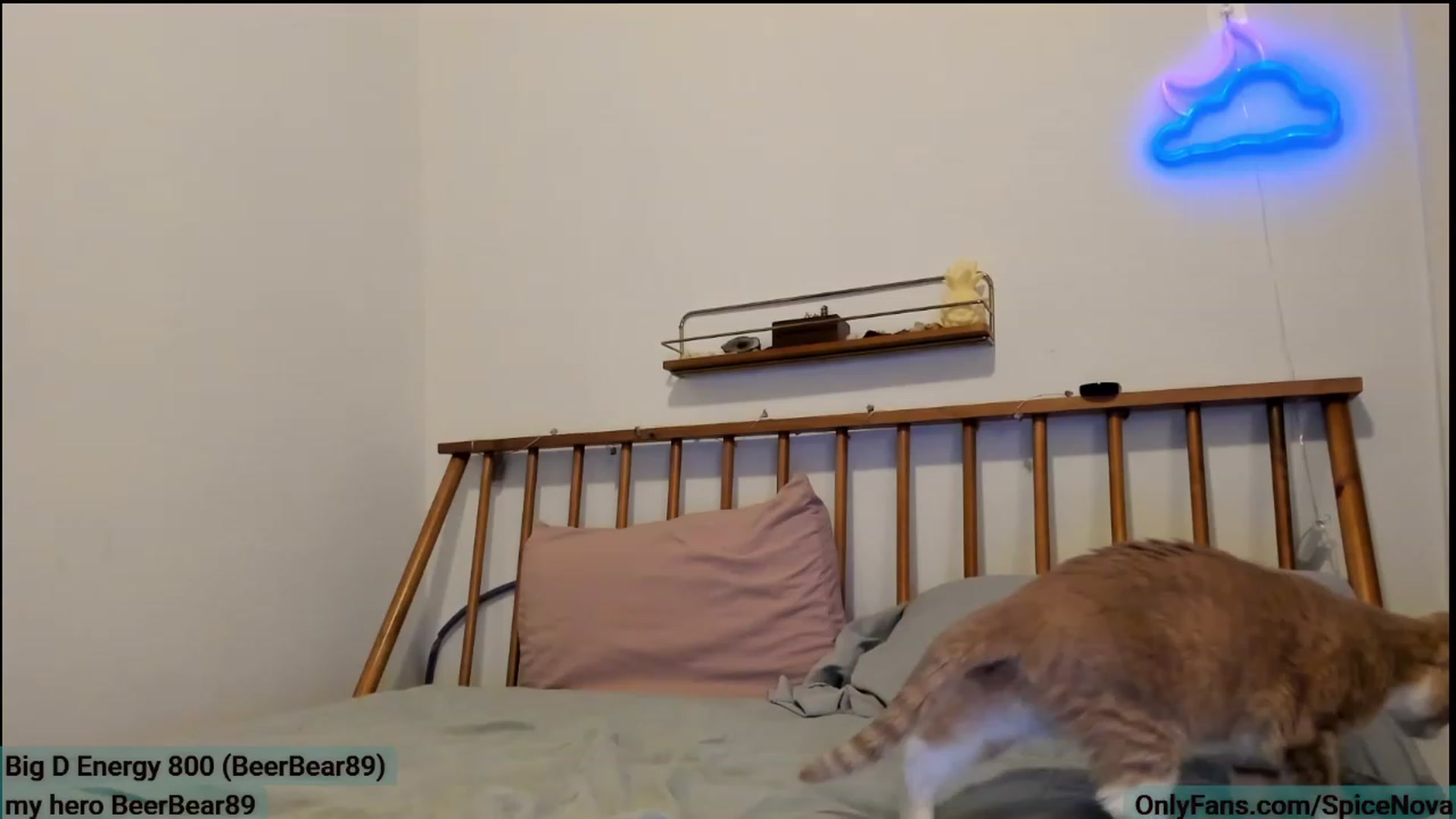 Gallery image thumbnail from SpiceNova's myfreecams stream on, 03/18/2023, 03:19 image 8 of 20