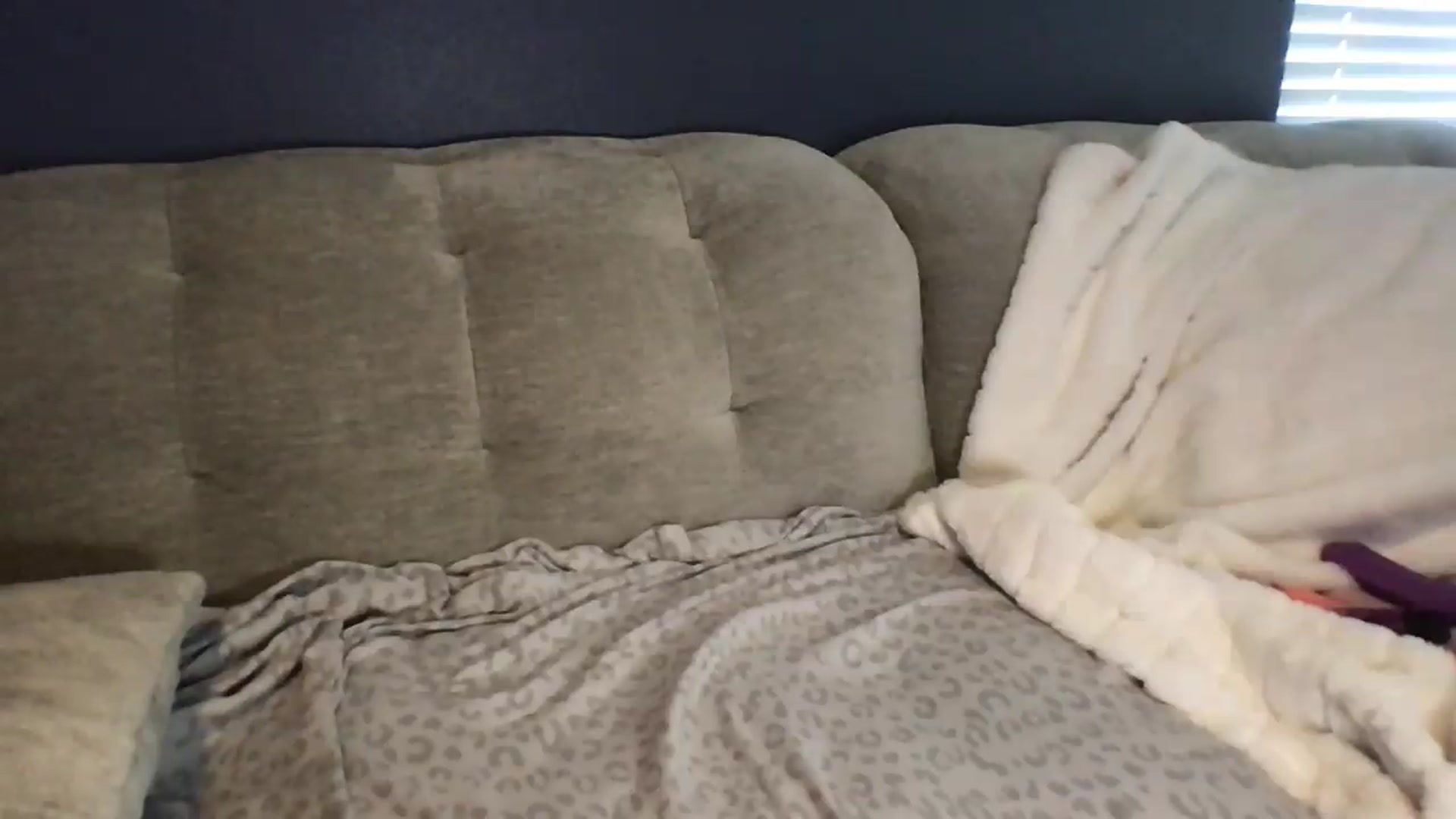 Gallery image thumbnail from SpicyA's myfreecams stream on, 05/25/2026, 21:04 image 9 of 20