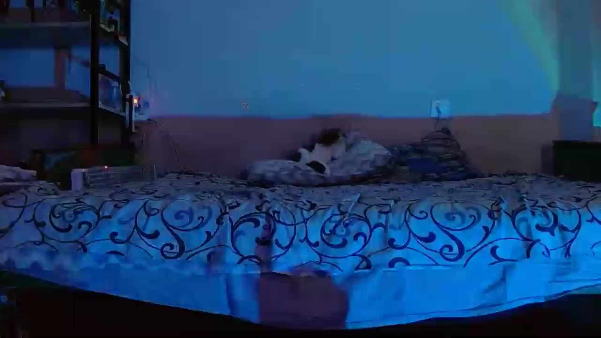 Gallery image thumbnail from Spicy_X's myfreecams stream on, 05/08/2024, 19:51 image 4 of 20