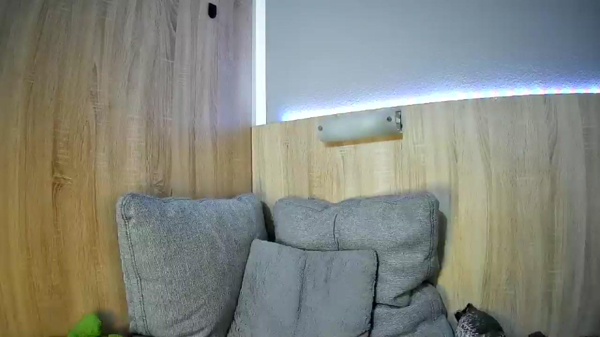 Gallery image thumbnail from Spicy_X's myfreecams stream on, 05/20/2025, 20:15 image 19 of 20