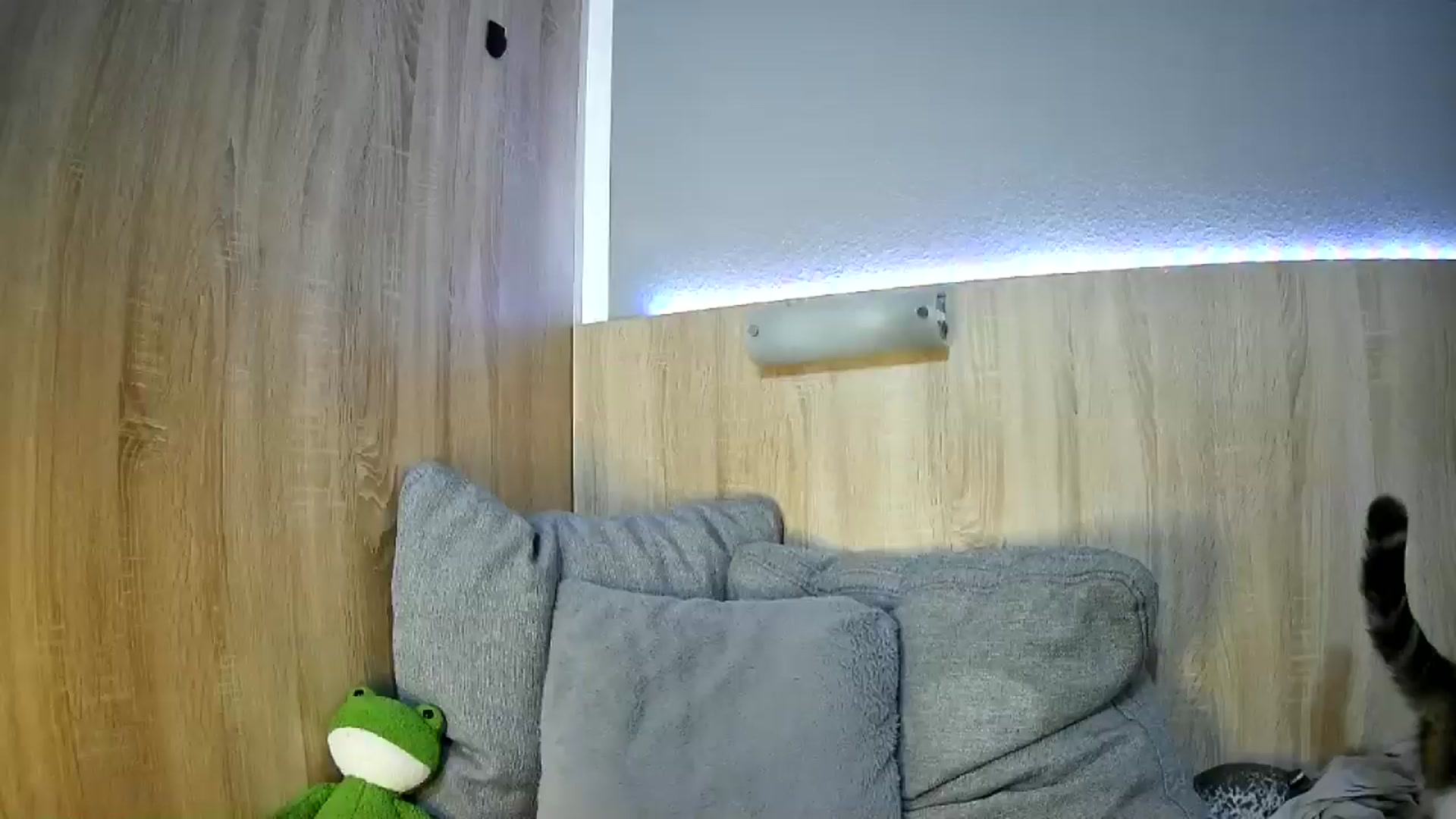 Gallery image thumbnail from Spicy_X's myfreecams stream on, 06/17/2025, 18:38 image 7 of 20