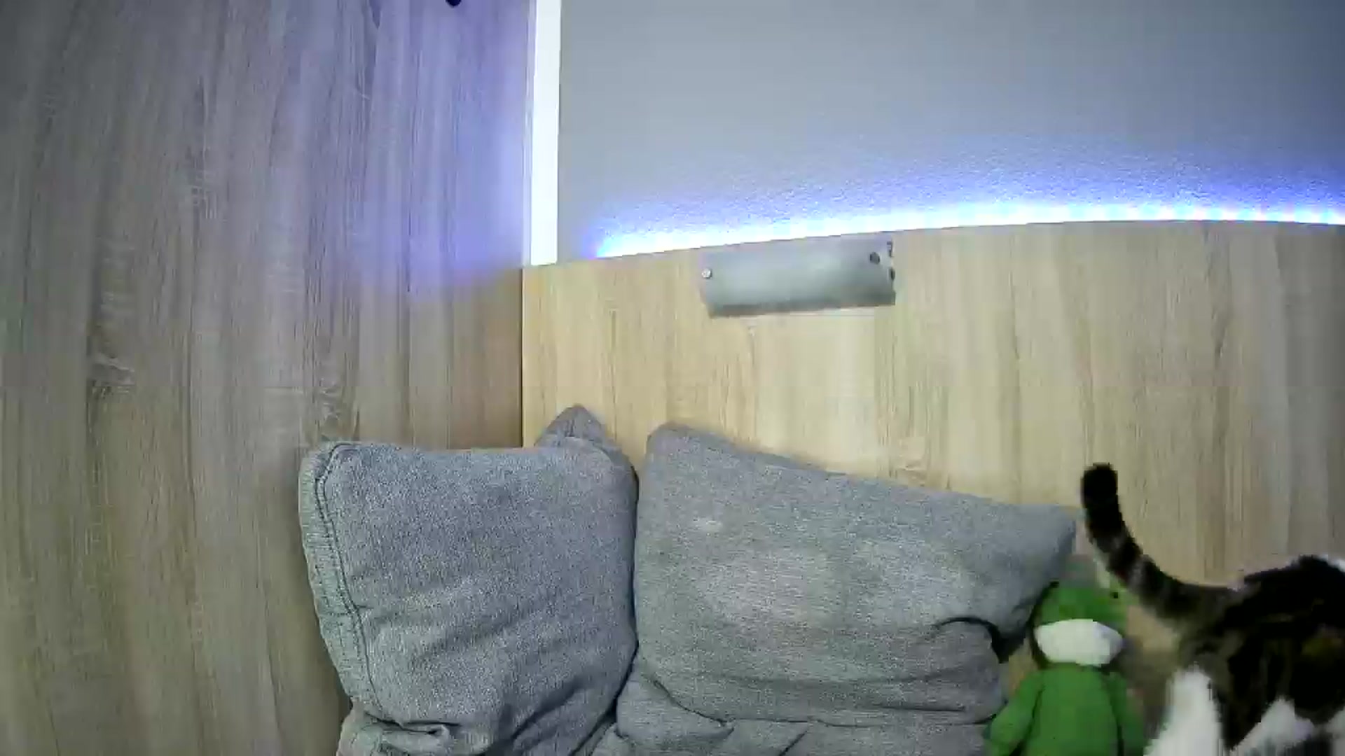 Gallery image thumbnail from Spicy_X's myfreecams stream on, 07/22/2025, 20:31 image 2 of 20