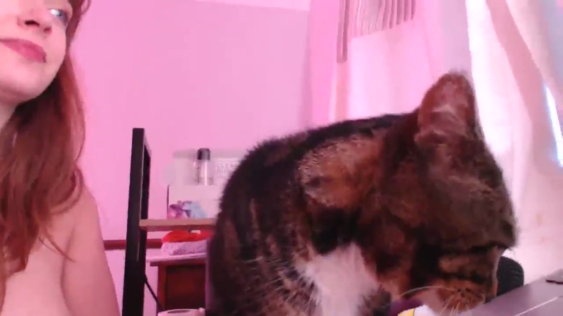 Gallery image thumbnail from SpidersKitty's myfreecams stream on, 05/23/2024, 20:33 image 12 of 20