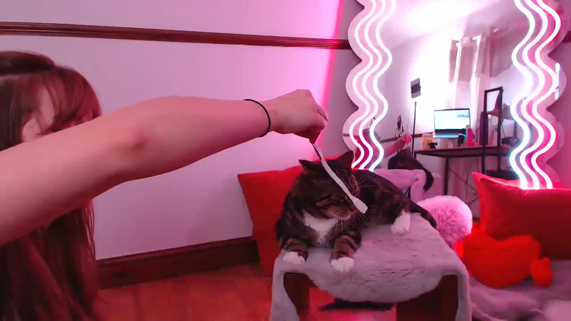 Gallery image thumbnail from SpidersKitty's myfreecams stream on, 05/29/2024, 19:12 image 16 of 20