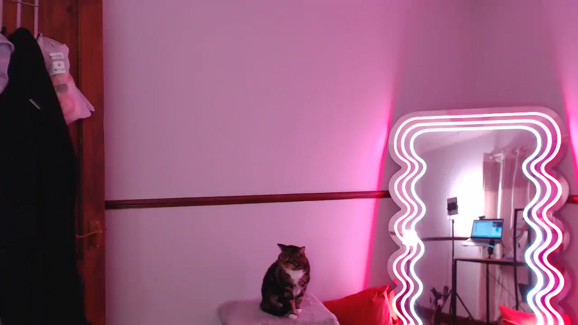 Gallery image thumbnail from SpidersKitty's myfreecams stream on, 05/31/2024, 20:57 image 17 of 20