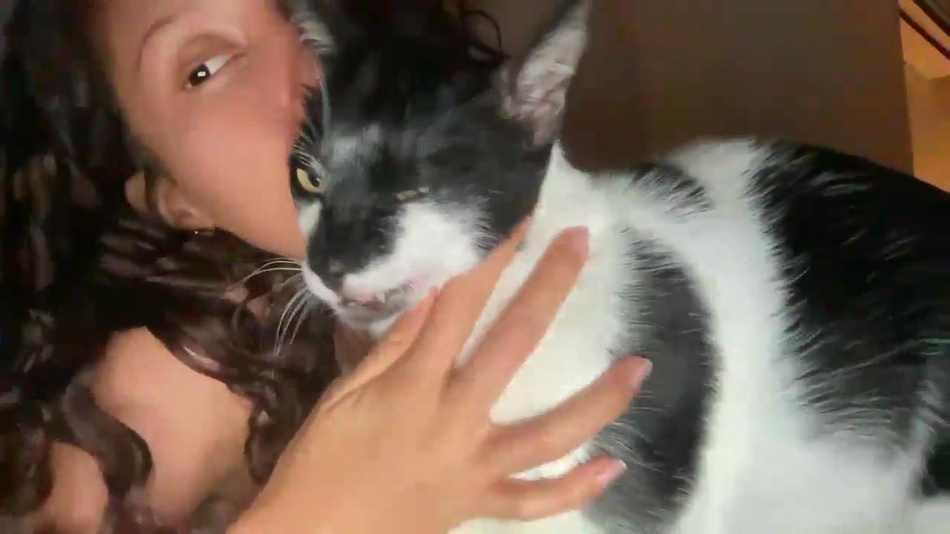 Gallery image thumbnail from SpoiledEllie's myfreecams stream on, 09/15/2026, 02:03 image 6 of 20