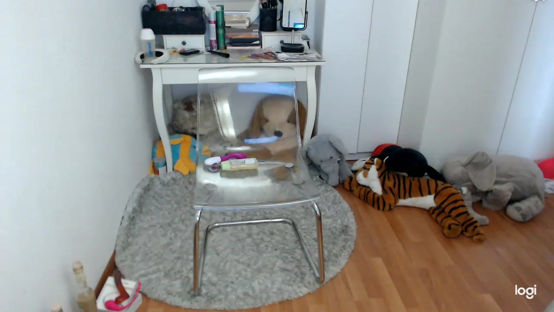 Gallery image thumbnail from SpringJewel's myfreecams stream on, 03/04/2023, 10:32 image 5 of 20