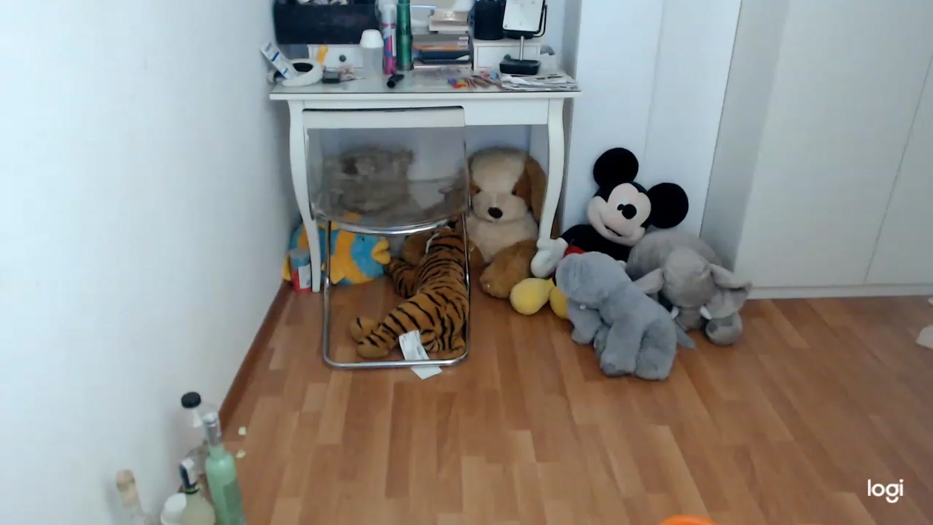 Gallery image thumbnail from SpringJewel's myfreecams stream on, 03/11/2023, 08:48 image 6 of 20