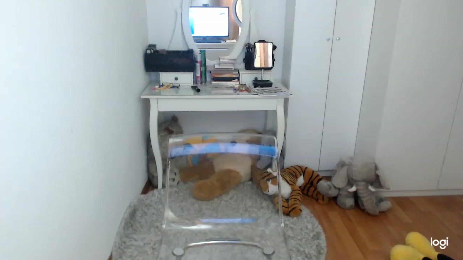 Gallery image thumbnail from SpringJewel's myfreecams stream on, 04/19/2023, 09:46 image 11 of 20