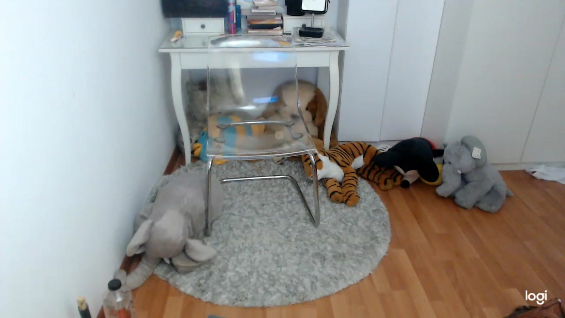 Gallery image thumbnail from SpringJewel's myfreecams stream on, 04/30/2023, 10:27 image 15 of 20