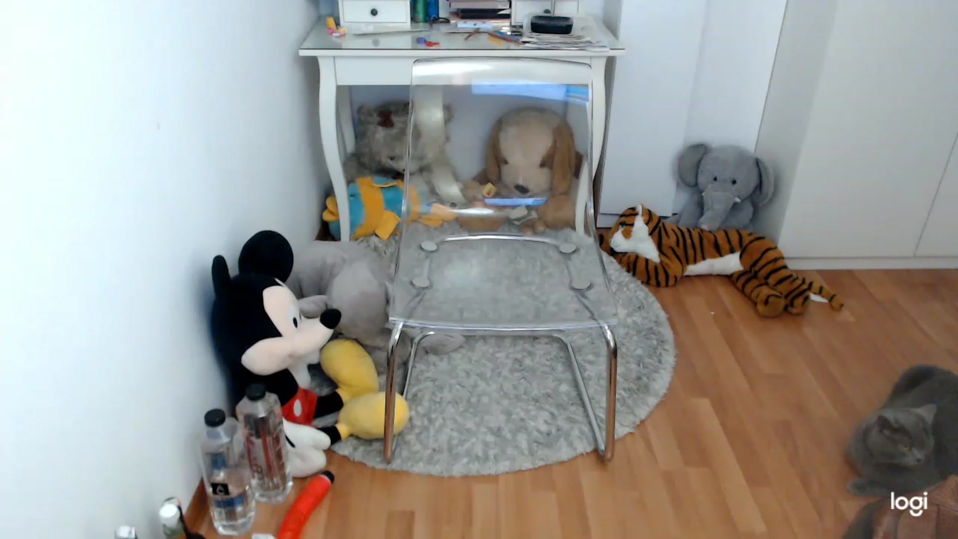 Gallery image thumbnail from SpringJewel's myfreecams stream on, 05/13/2023, 08:44 image 6 of 20