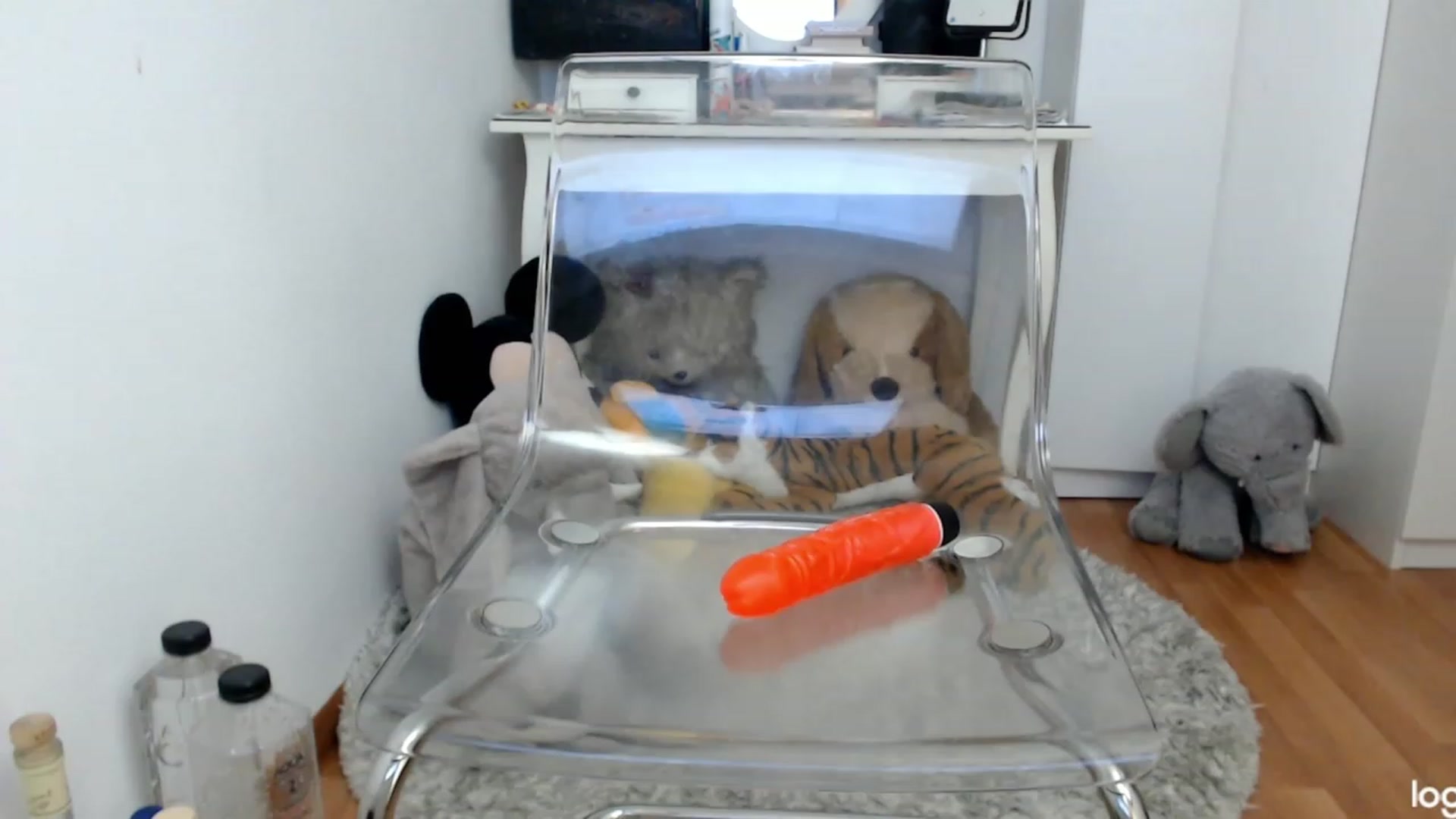 Gallery image thumbnail from SpringJewel's myfreecams stream on, 05/24/2023, 09:33 image 9 of 20