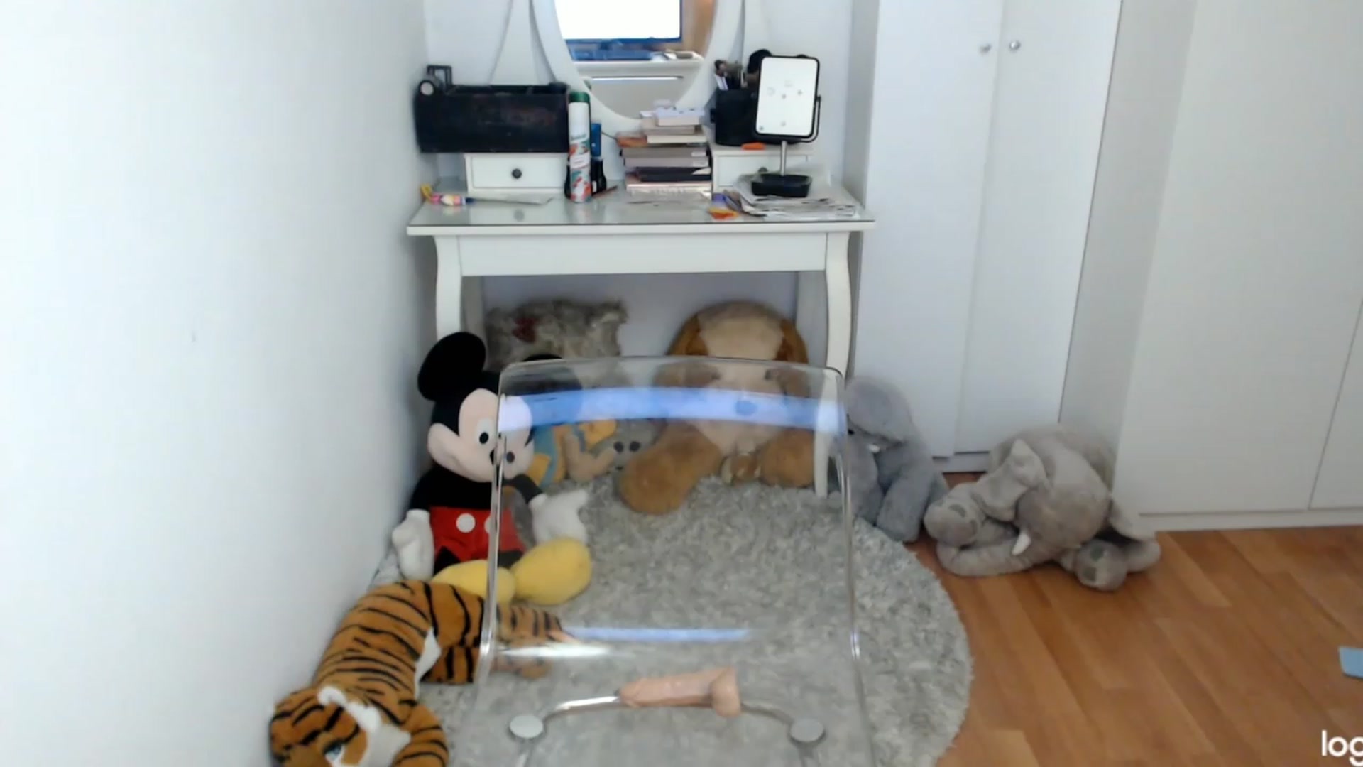 Gallery image thumbnail from SpringJewel's myfreecams stream on, 05/28/2023, 09:40 image 9 of 20
