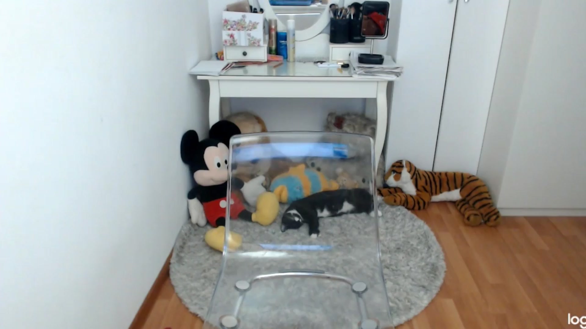 Gallery image thumbnail from SpringJewel's myfreecams stream on, 04/05/2024, 08:54 image 10 of 20