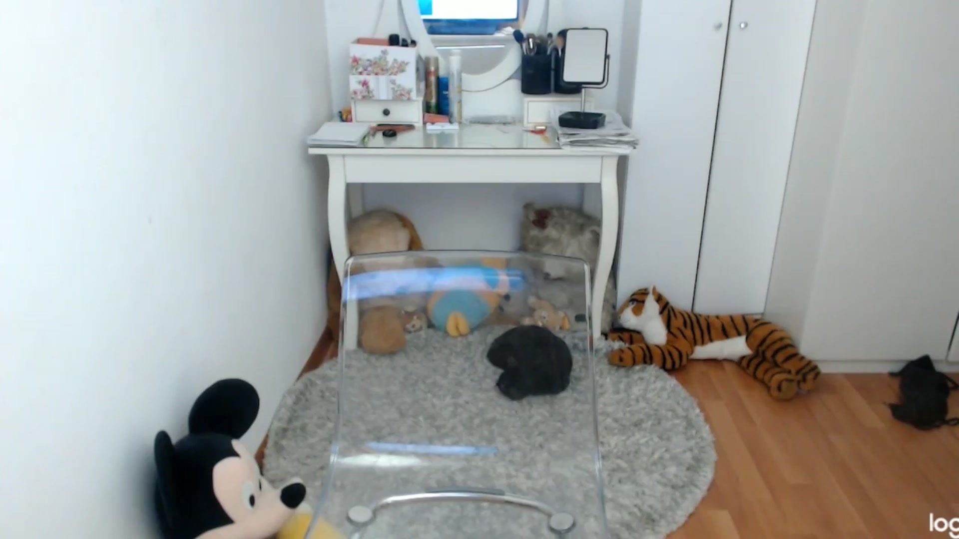 Gallery image thumbnail from SpringJewel's myfreecams stream on, 04/12/2024, 08:19 image 18 of 20