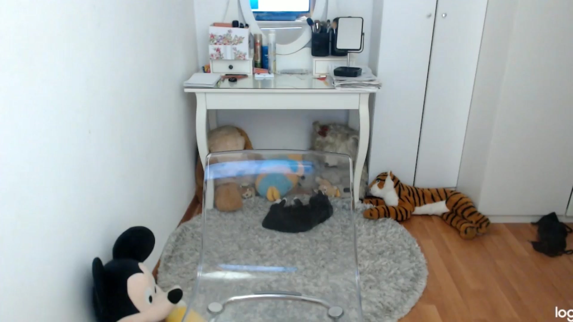 Gallery image thumbnail from SpringJewel's myfreecams stream on, 04/12/2024, 08:19 image 17 of 20
