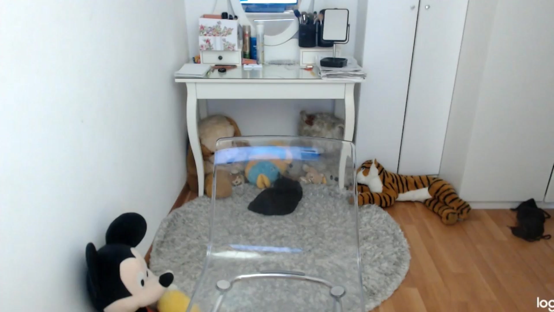 Gallery image thumbnail from SpringJewel's myfreecams stream on, 04/12/2024, 08:19 image 5 of 20