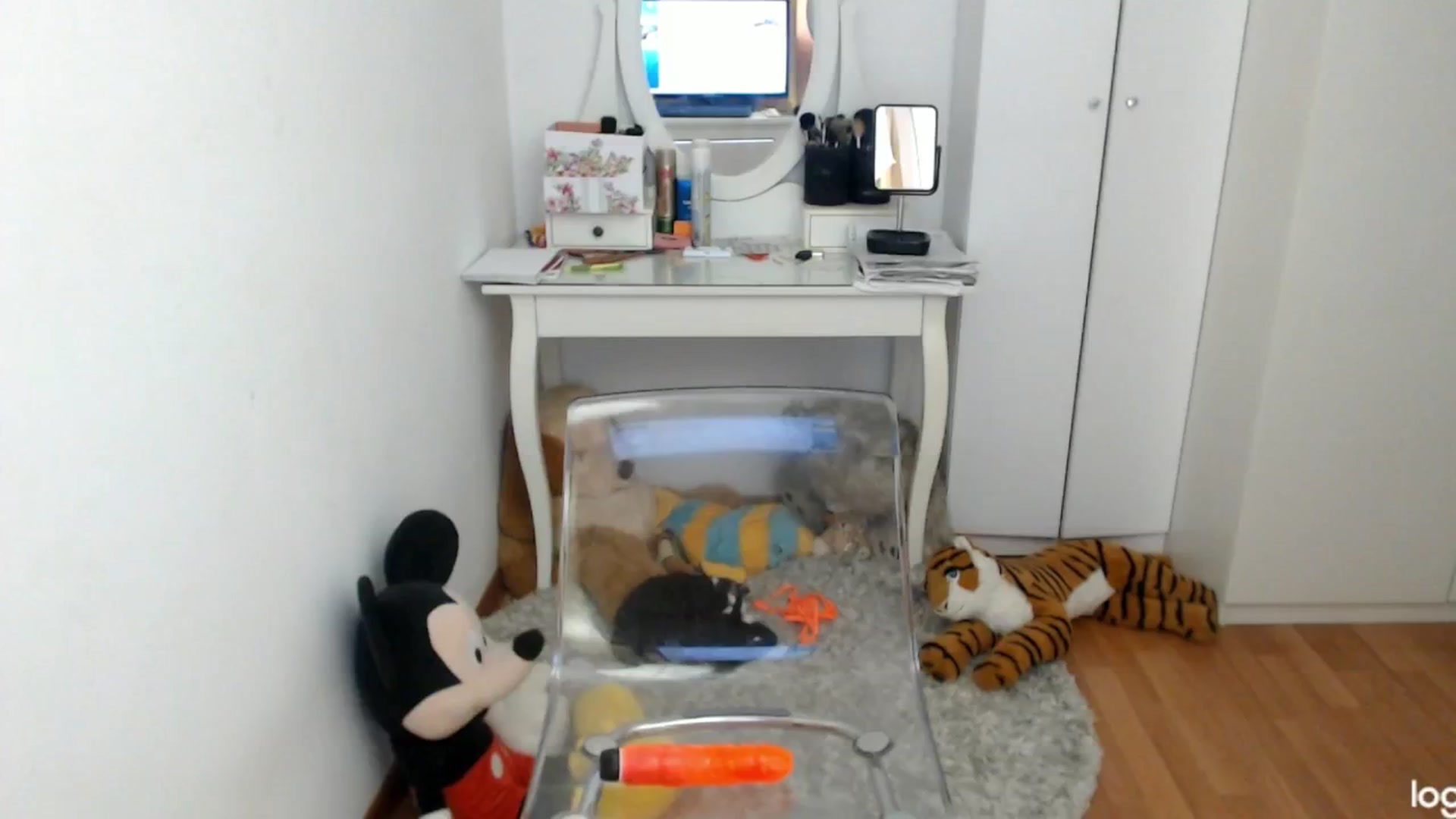Gallery image thumbnail from SpringJewel's myfreecams stream on, 04/19/2024, 08:48 image 16 of 20