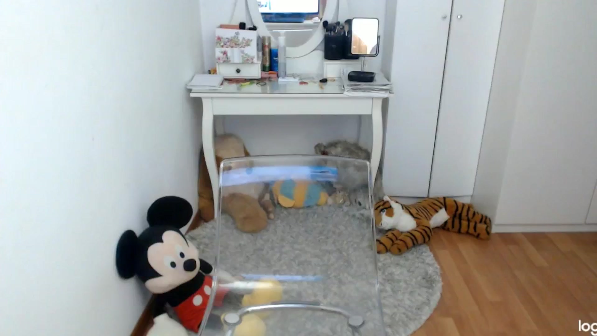 Gallery image thumbnail from SpringJewel's myfreecams stream on, 04/20/2024, 08:12 image 8 of 20