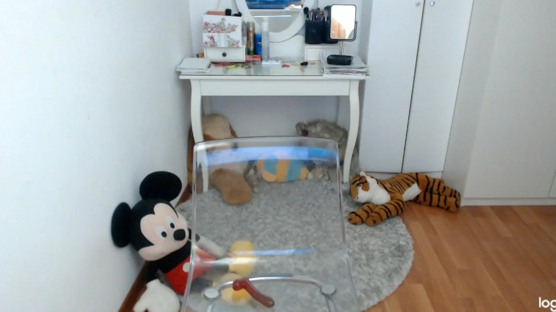 Gallery image thumbnail from SpringJewel's myfreecams stream on, 04/20/2024, 10:29 image 6 of 20
