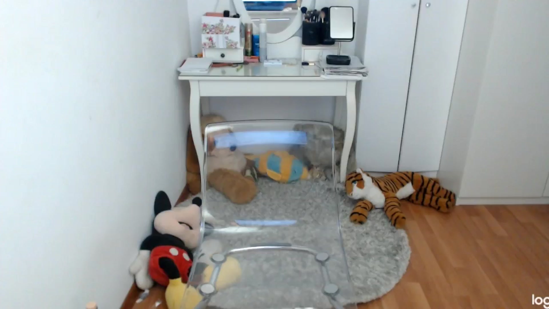 Gallery image thumbnail from SpringJewel's myfreecams stream on, 04/21/2024, 10:04 image 17 of 20