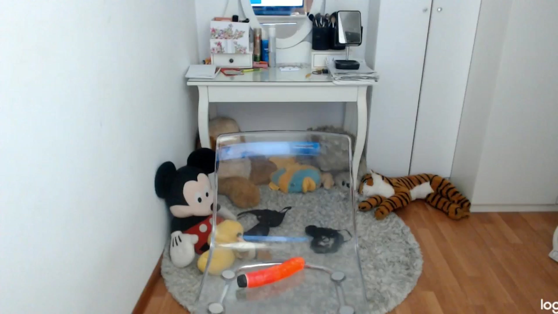 Gallery image thumbnail from SpringJewel's myfreecams stream on, 04/25/2024, 09:04 image 19 of 20