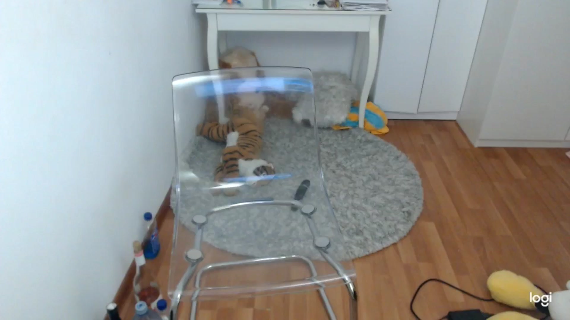 Gallery image thumbnail from SpringJewel's myfreecams stream on, 04/05/2025, 10:09 image 7 of 20