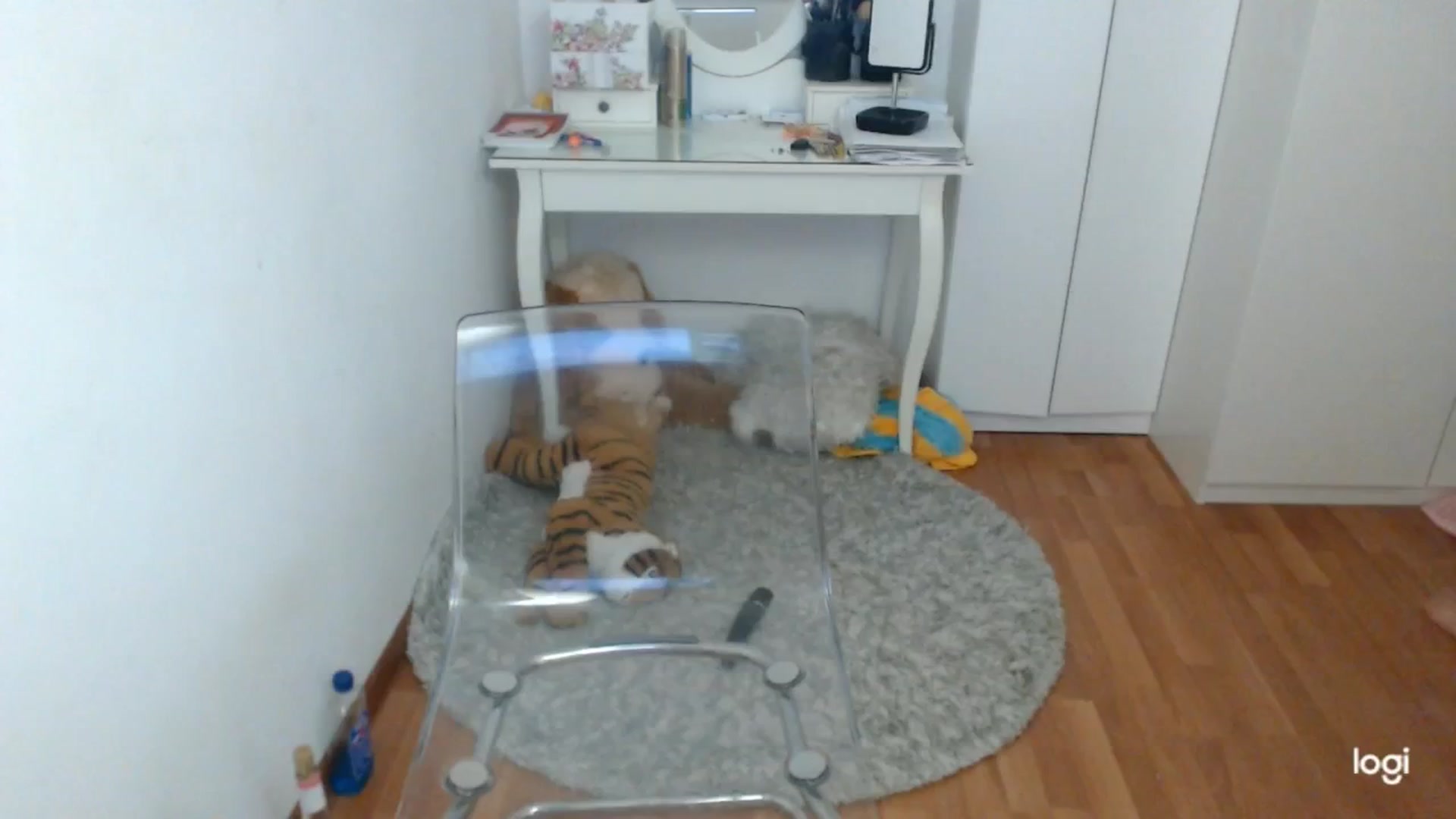 Gallery image thumbnail from SpringJewel's myfreecams stream on, 04/05/2025, 10:09 image 12 of 20