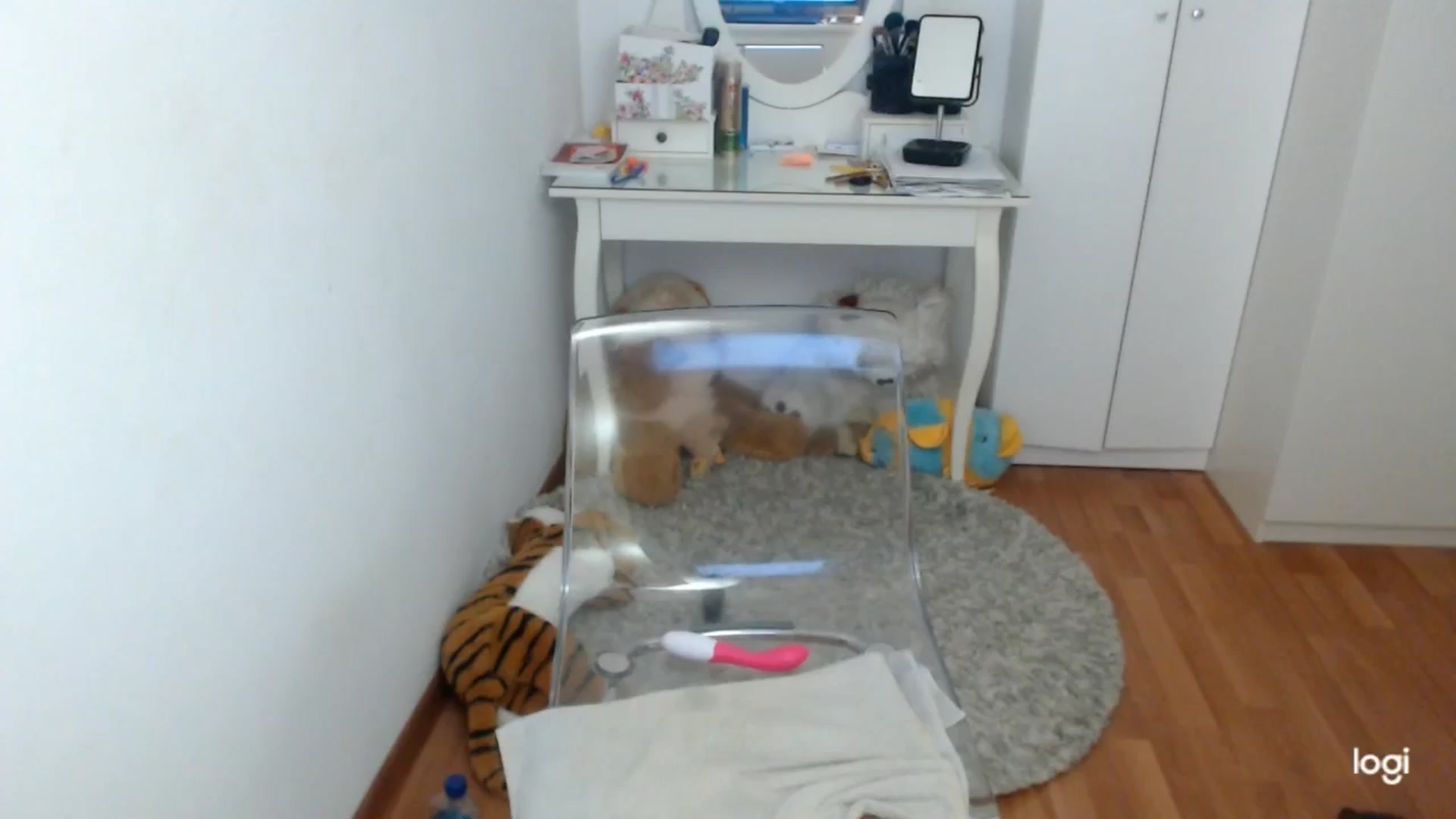 Gallery image thumbnail from SpringJewel's myfreecams stream on, 04/14/2025, 08:29 image 6 of 20