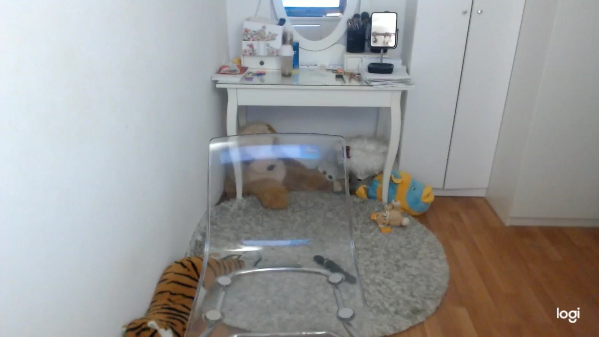 Gallery image thumbnail from SpringJewel's myfreecams stream on, 05/08/2025, 08:37 image 17 of 20