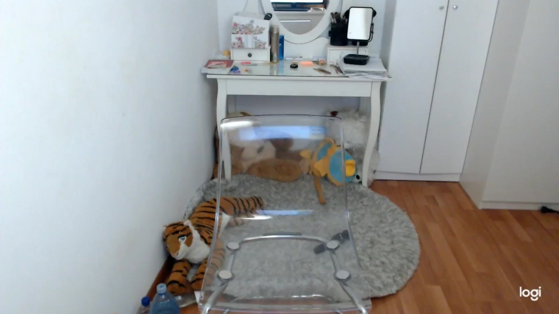 Gallery image thumbnail from SpringJewel's myfreecams stream on, 05/28/2025, 08:46 image 12 of 20