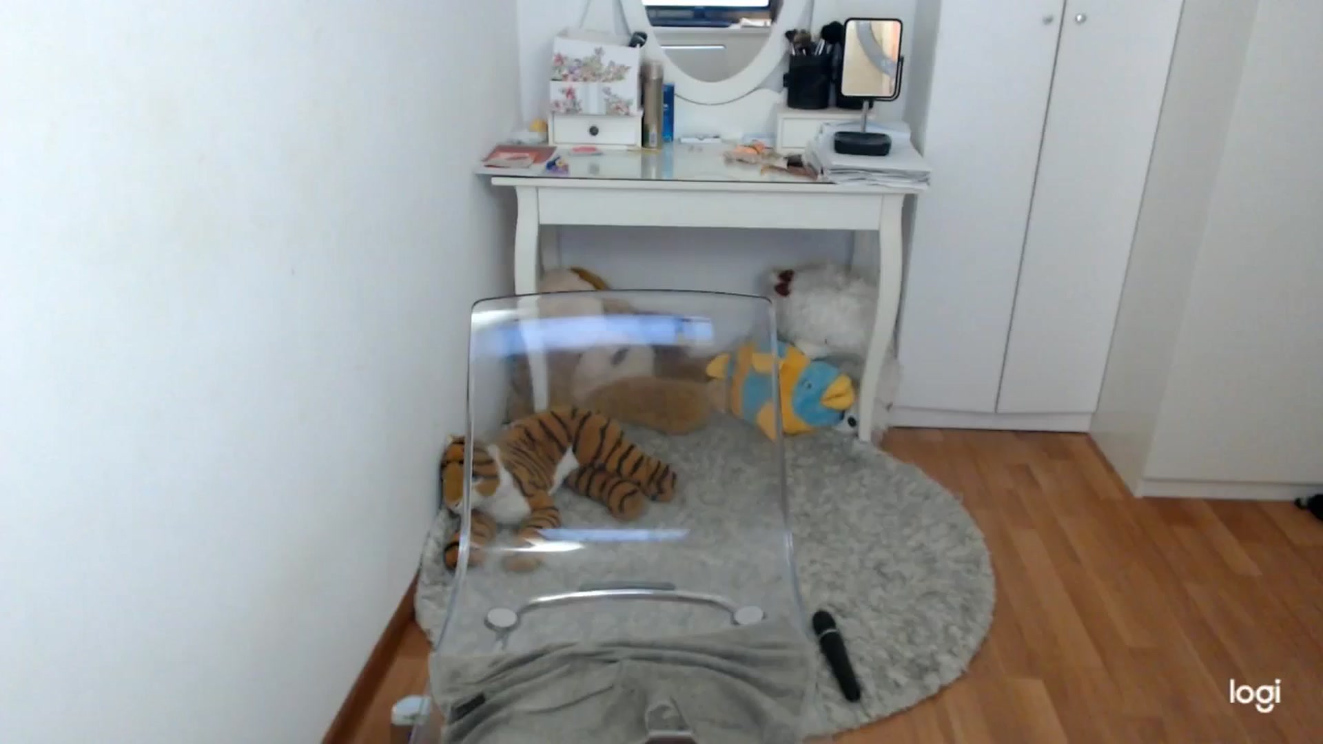 Gallery image thumbnail from SpringJewel's myfreecams stream on, 05/30/2025, 08:54 image 12 of 20