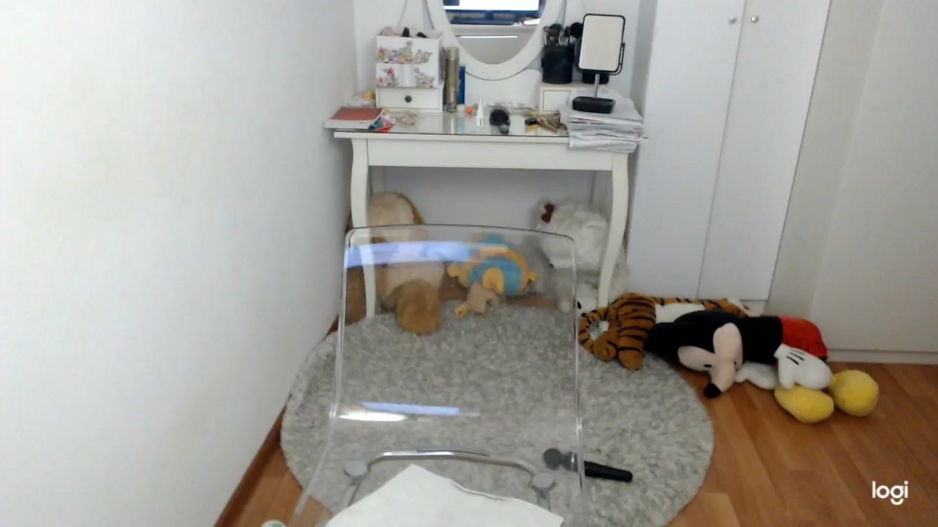 Gallery image thumbnail from SpringJewel's myfreecams stream on, 03/08/2026, 09:13 image 8 of 20