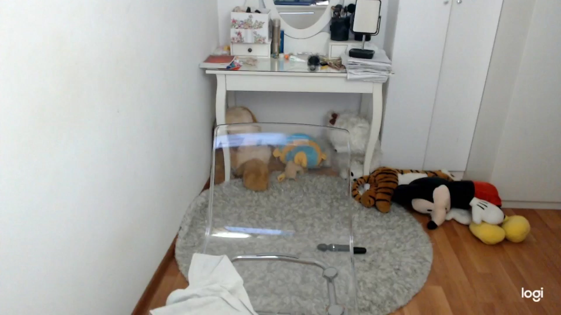 Gallery image thumbnail from SpringJewel's myfreecams stream on, 03/08/2026, 09:13 image 16 of 20