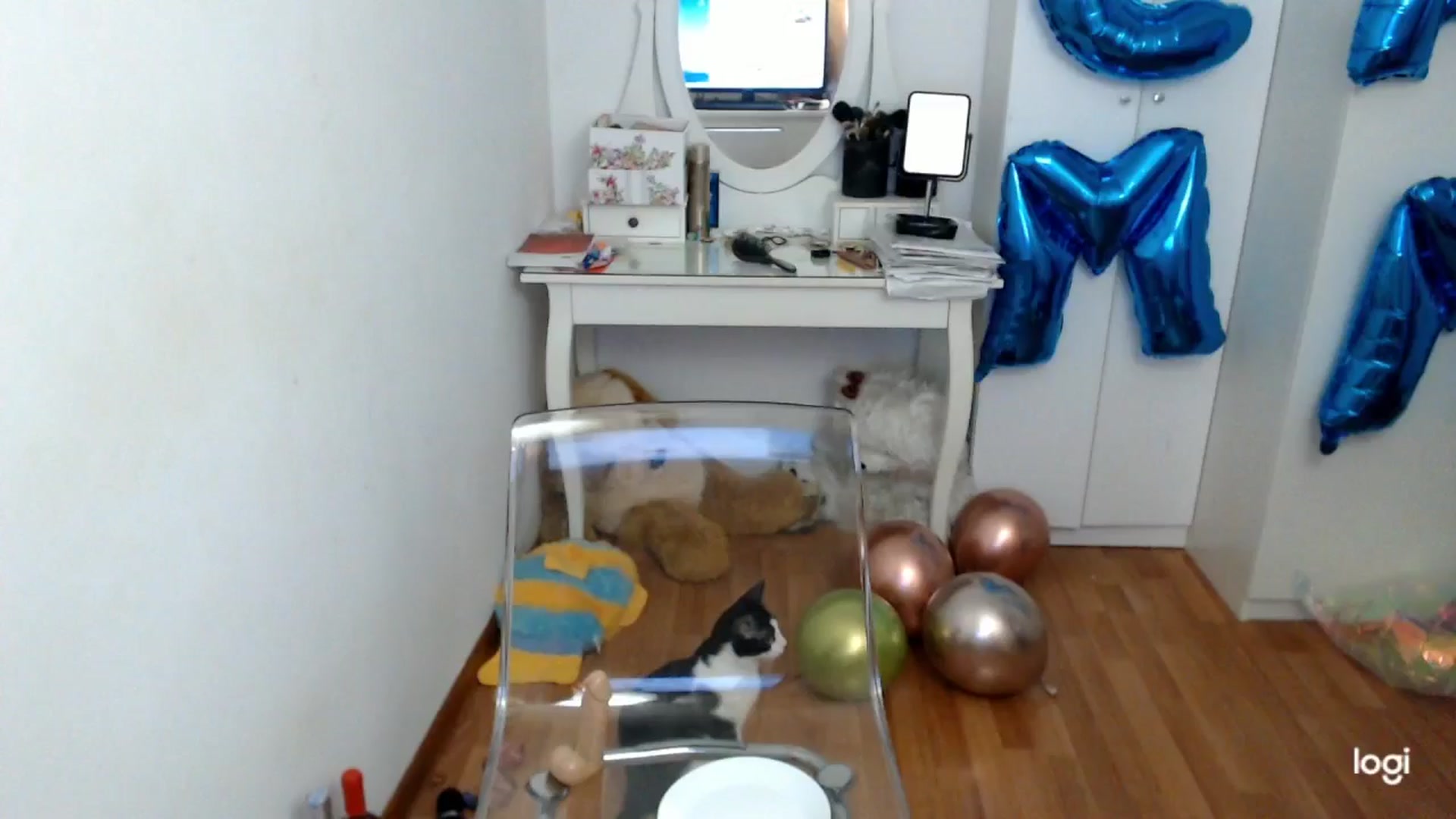 Gallery image thumbnail from SpringJewel's myfreecams stream on, 03/21/2026, 09:32 image 17 of 20