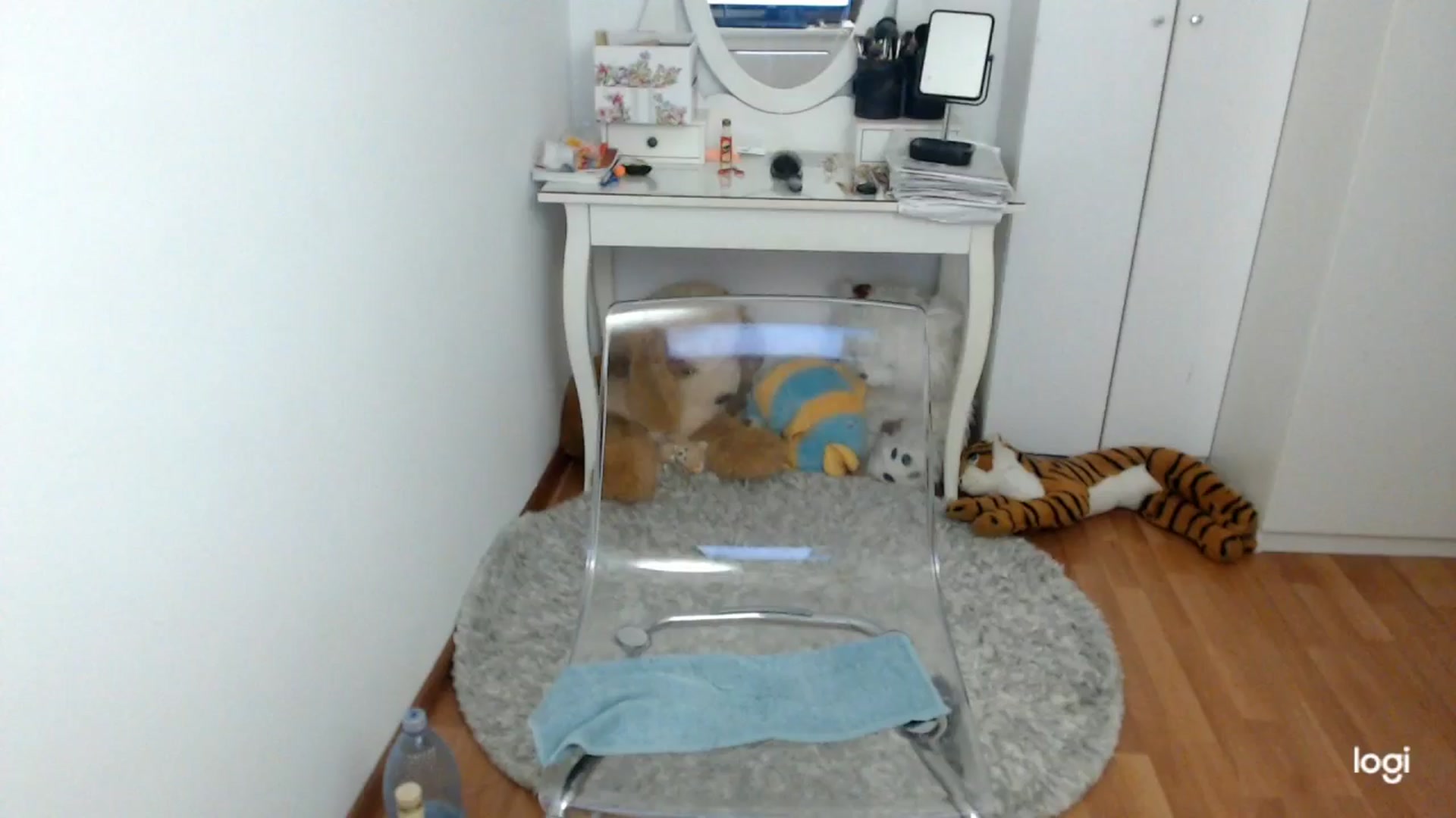 Gallery image thumbnail from SpringJewel's myfreecams stream on, 04/04/2026, 08:25 image 11 of 20