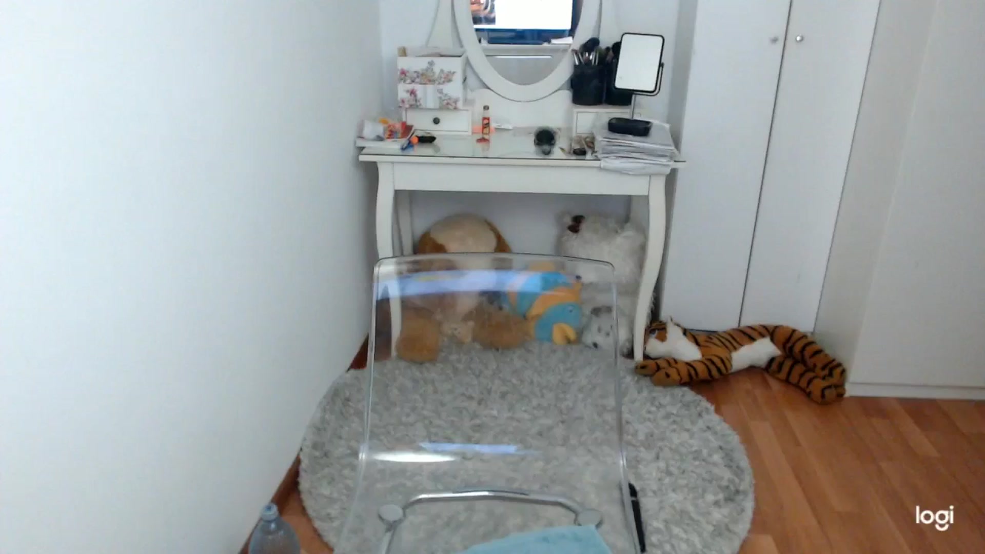 Gallery image thumbnail from SpringJewel's myfreecams stream on, 04/04/2026, 08:25 image 14 of 20
