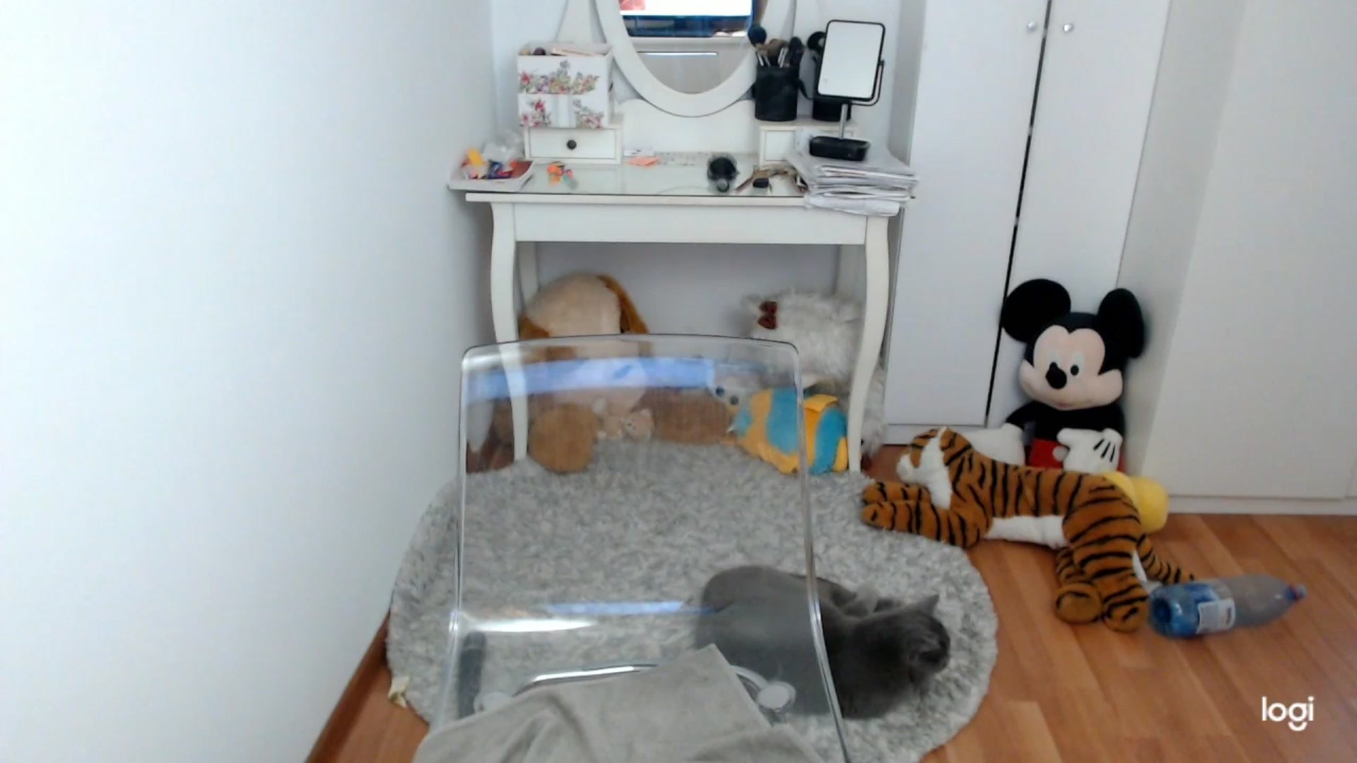 Gallery image thumbnail from SpringJewel's myfreecams stream on, 05/02/2026, 09:36 image 20 of 20
