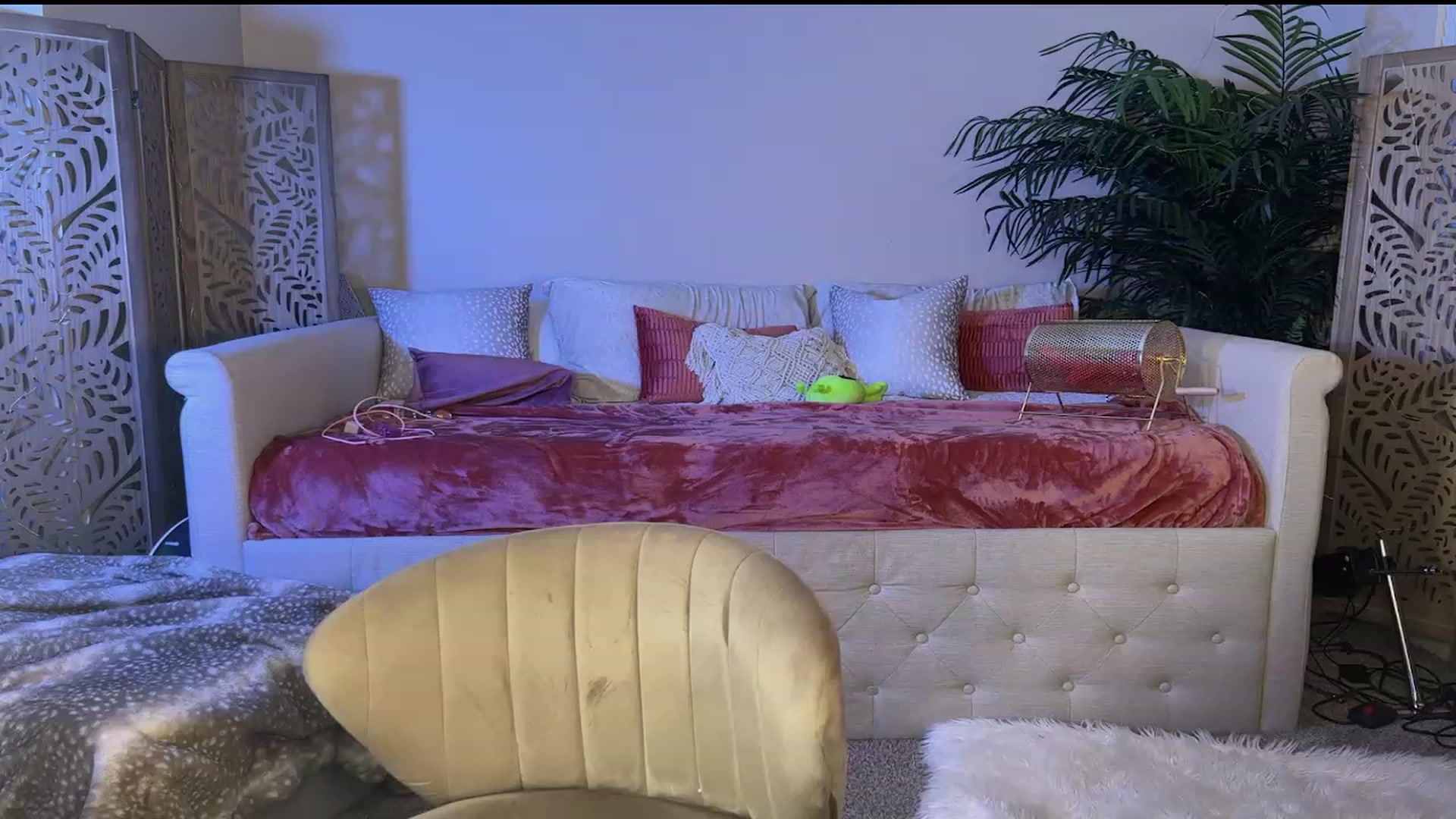 Gallery image thumbnail from Spring_Ari's myfreecams stream on, 07/08/2023, 06:05 image 11 of 20