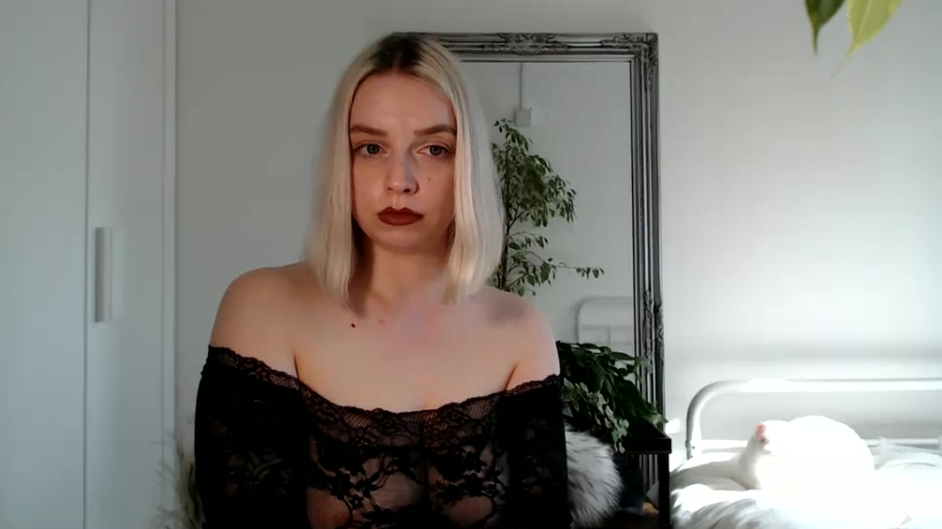 Gallery image thumbnail from Spring__'s myfreecams stream on, 07/10/2024, 16:37 image 13 of 20