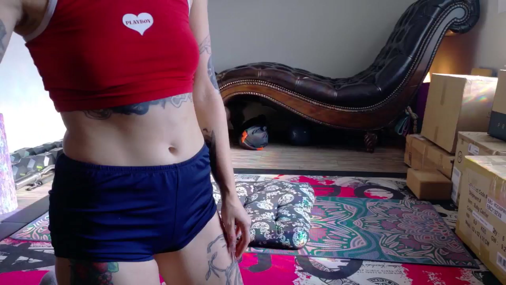 Gallery image thumbnail from SquidVicious's myfreecams stream on, 07/26/2025, 23:57 image 7 of 20