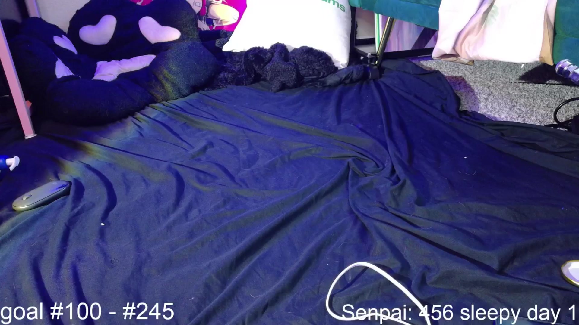 Gallery image thumbnail from SquidVicious's myfreecams stream on, 08/28/2025, 06:25 image 19 of 20