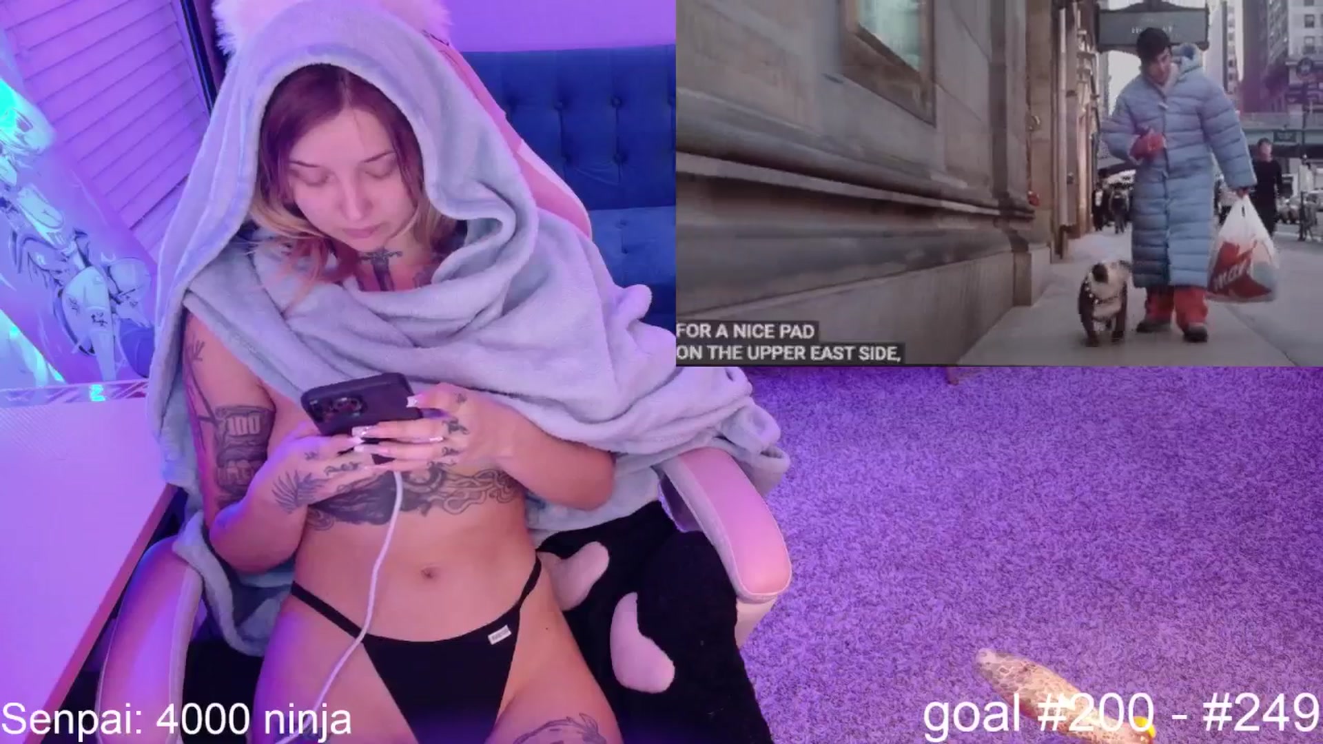 Gallery image thumbnail from SquidVicious's myfreecams stream on, 09/01/2025, 05:37 image 14 of 20