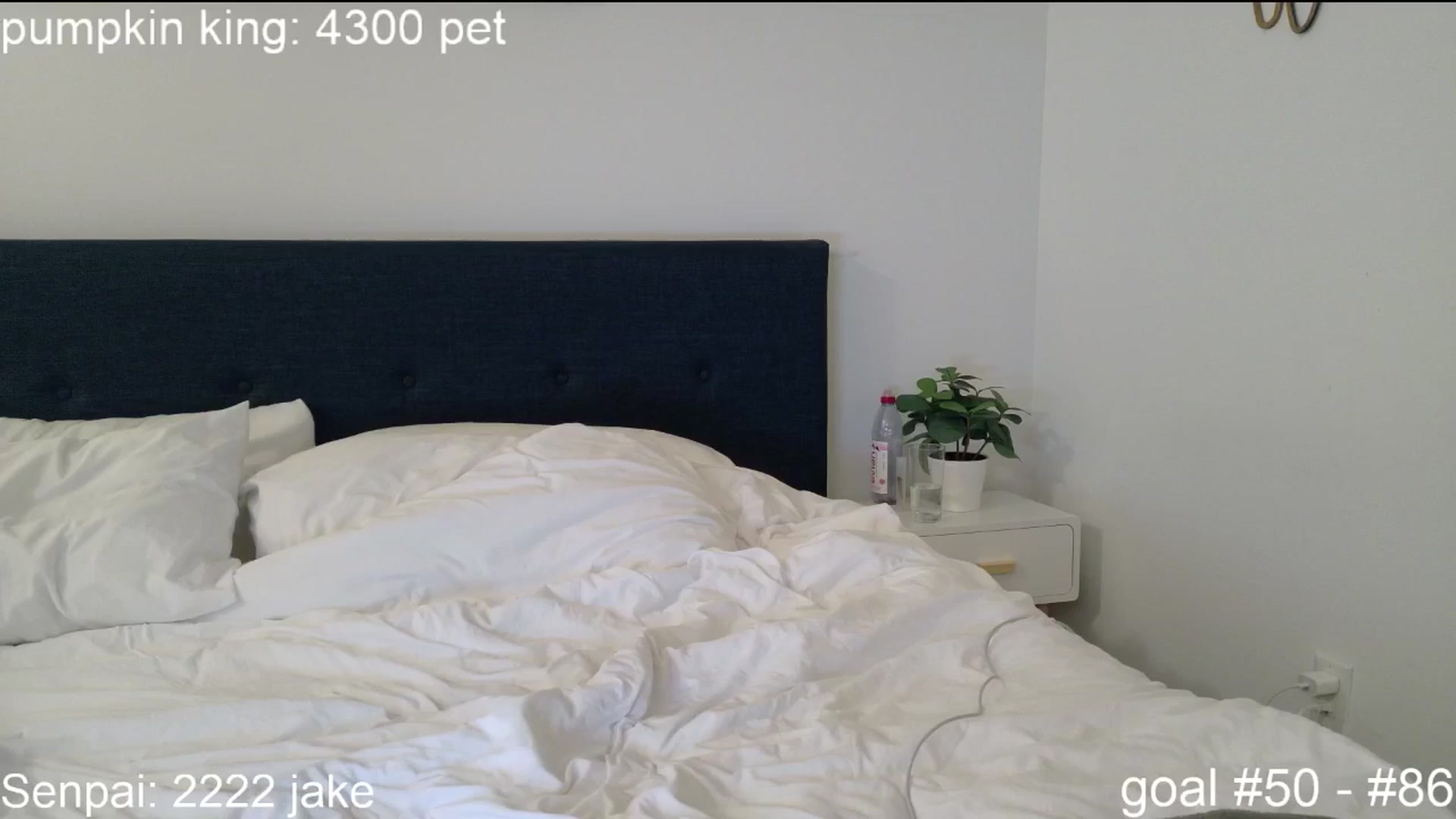 Gallery image thumbnail from SquidVicious's myfreecams stream on, 10/25/2025, 04:58 image 3 of 20