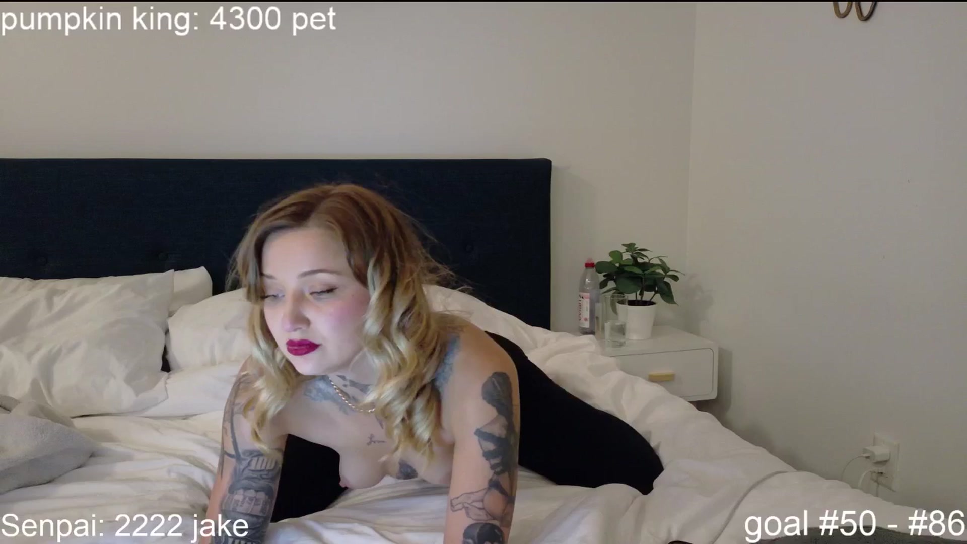 Gallery image thumbnail from SquidVicious's myfreecams stream on, 10/25/2025, 04:58 image 6 of 20