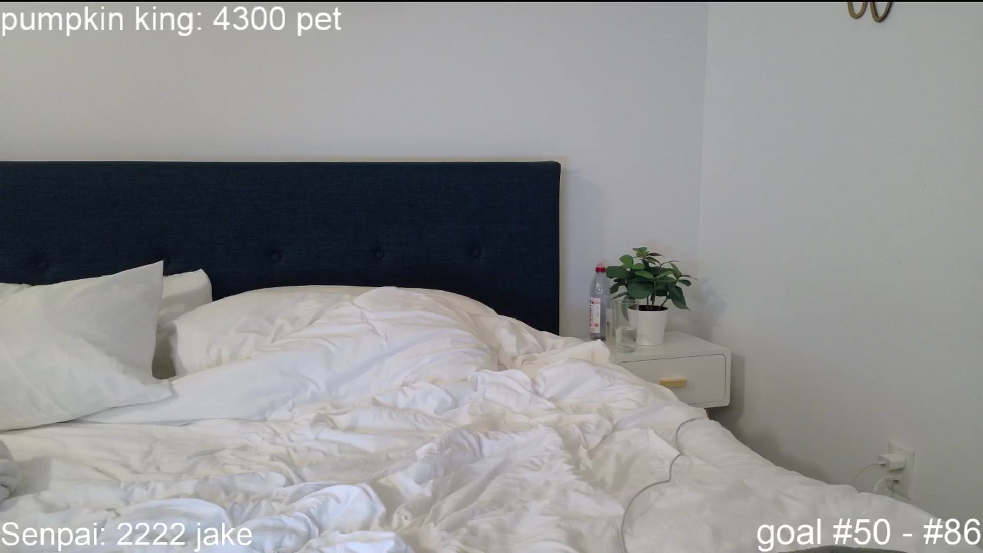 Gallery image thumbnail from SquidVicious's myfreecams stream on, 10/25/2025, 04:58 image 2 of 20