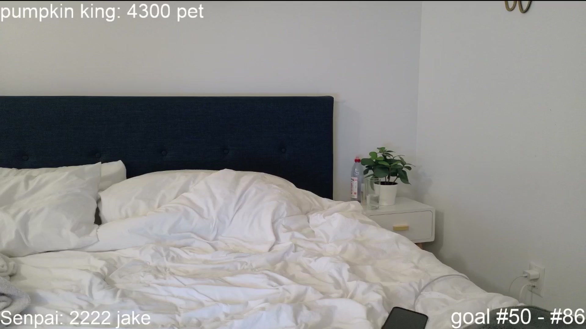 Gallery image thumbnail from SquidVicious's myfreecams stream on, 10/25/2025, 04:58 image 4 of 20