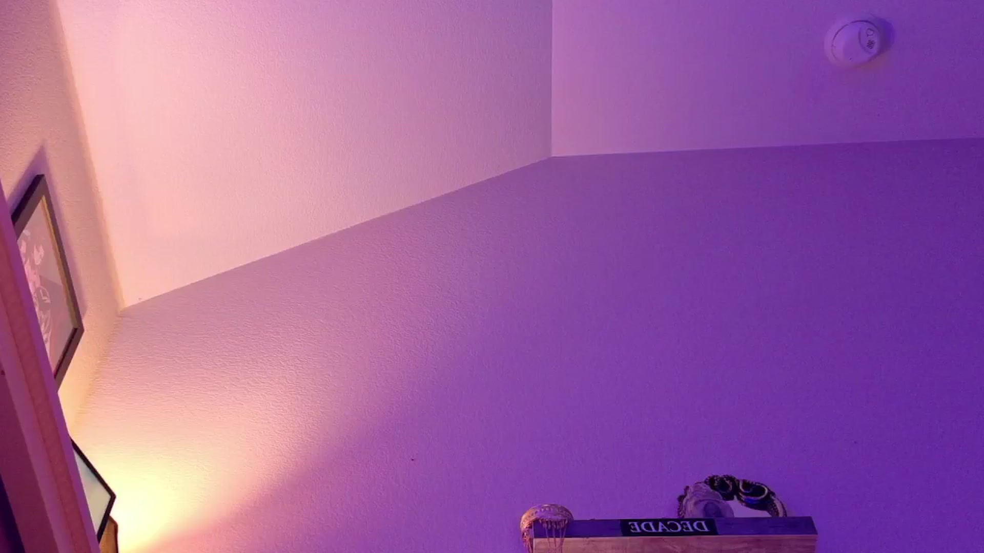 Gallery image thumbnail from SquidVicious's myfreecams stream on, 11/08/2025, 06:23 image 15 of 20